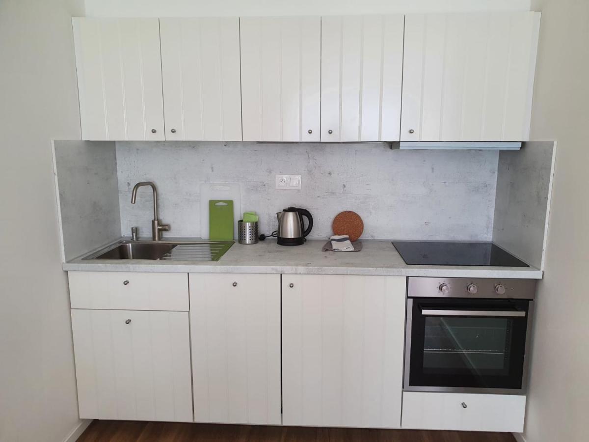 Stylish Apartment With Terrace And Garage In The City Center Plzeň Exterior foto